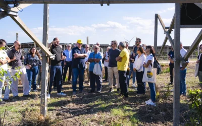 Futuro condiviso, comunità, territorio: il secondo “Convivio Agrivoltaico” di AIAS